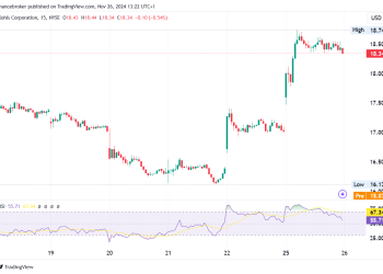 Kohl’s Shares Plunge 11%